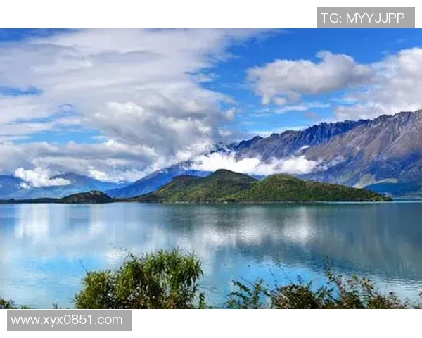 足球明星哈纳斯的个人资料与精彩瞬间图片分享