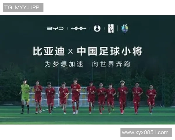 中国足球市场吸引力提升转会中国的国际足球明星新动向分析