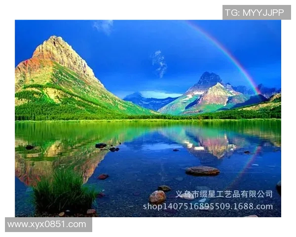 足球明星钻石画图片大全欣赏与创作技巧分享