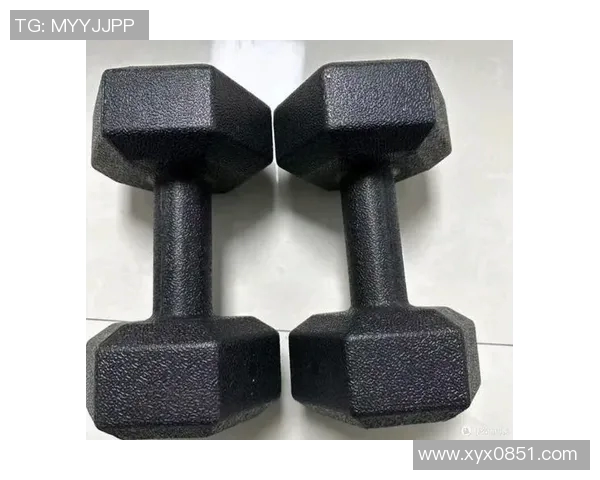 提升力量与健康的完美选择哑铃一副助你塑造理想身材与增强体能