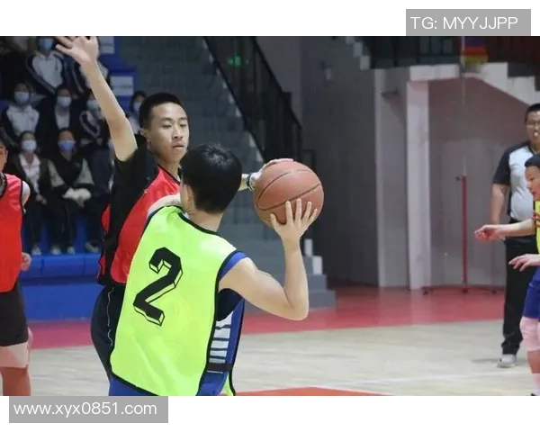 篮球深情明星背后的故事与梦想如何点燃青春激情与奋斗精神